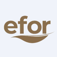 Efor Yatırım Sanayi Tic. A.Ş. logosu
