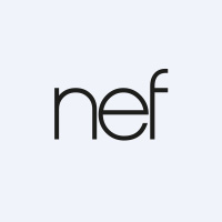 (nef) Timur Gayrimenkul Geliştirme Yapı ve Yatırım A.Ş. logosu
